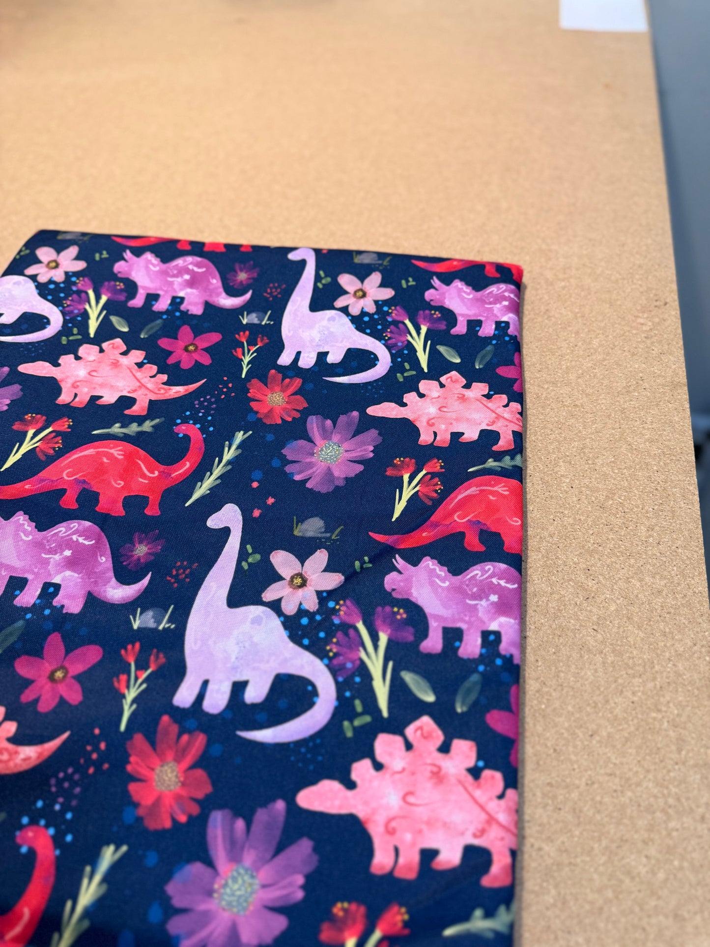 Purple Dinosaur Padded Mat